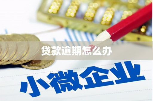 伽师贷款逾期怎么办